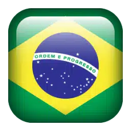 brazil flags flag 16979